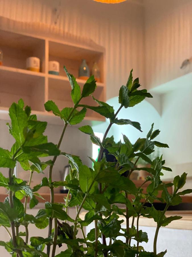 A Casa Del Console Apartment 만프레도니아 외부 사진